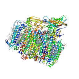 BU of 5mx2 by Molmil