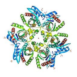 BU of 5mx6 by Molmil