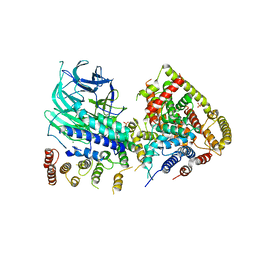 AU of 5n5x by Molmil