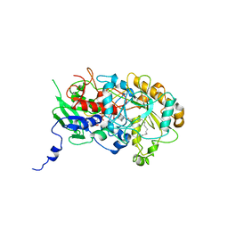 BU of 5ncc by Molmil