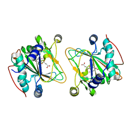 BU of 5nci by Molmil