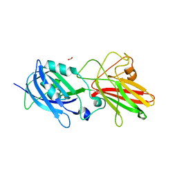 BU of 5nf4 by Molmil