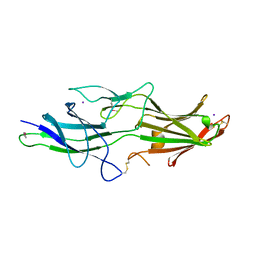 BU of 5nfi by Molmil