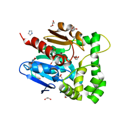 BU of 5nfq by Molmil