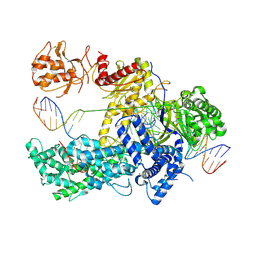 BU of 5nfv by Molmil