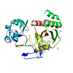 BU of 5nfx by Molmil