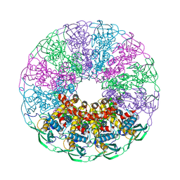 BU of 5ngd by Molmil