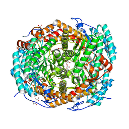 BU of 5nh5 by Molmil