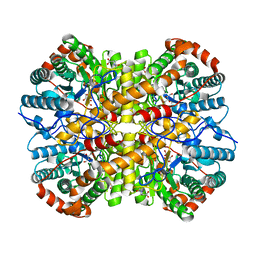 BU of 5nhc by Molmil