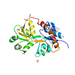 BU of 5nih by Molmil