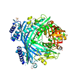 BU of 5njc by Molmil