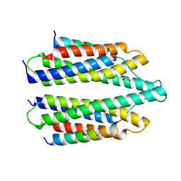 BU of 5nl1 by Molmil