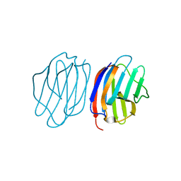 BU of 5nm6 by Molmil