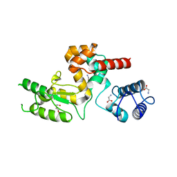 BU of 5nm7 by Molmil