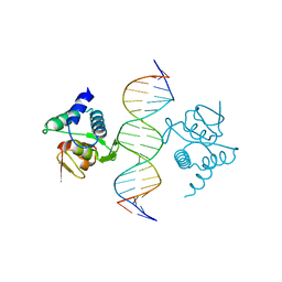 BU of 5nm9 by Molmil