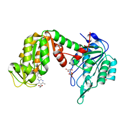 BU of 5np8 by Molmil