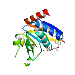 BU of 5np9 by Molmil