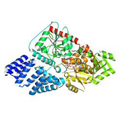 BU of 5nps by Molmil