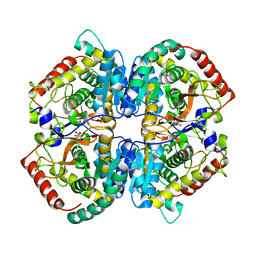 BU of 5nqb by Molmil