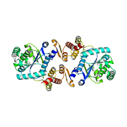 BU of 5nsf by Molmil