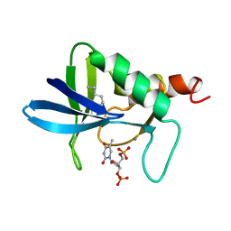 BU of 5nuc by Molmil