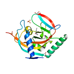 BU of 5nvh by Molmil