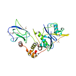 BU of 5nvx by Molmil