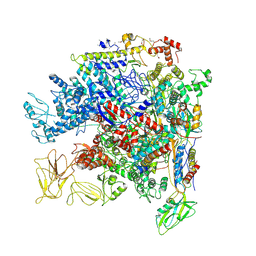 BU of 5nwt by Molmil