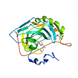 BU of 5nxp by Molmil