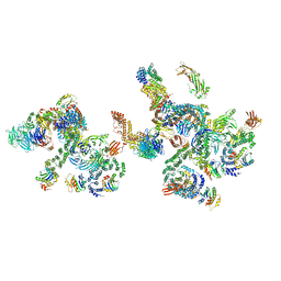 BU of 5nzv by Molmil