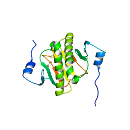 AU of 5o8g by Molmil