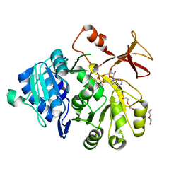 BU of 5oe5 by Molmil