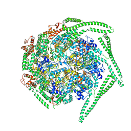 BU of 5og1 by Molmil