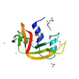 BU of 5ogh by Molmil