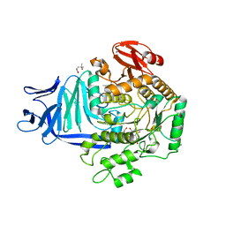 BU of 5ohs by Molmil