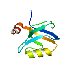 AU of 5oi6 by Molmil