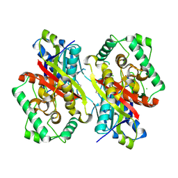 BU of 5onc by Molmil