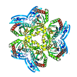 AU of 5our by Molmil