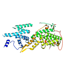 BU of 5ovh by Molmil