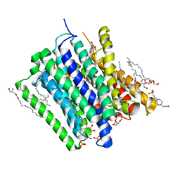 BU of 5oxl by Molmil