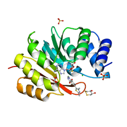 AU of 5p9q by Molmil