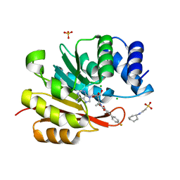 BU of 5p9x by Molmil