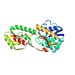 AU of 5pfk by Molmil