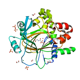 BU of 5ph0 by Molmil