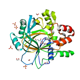 BU of 5ph1 by Molmil