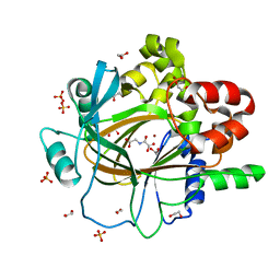 BU of 5phb by Molmil