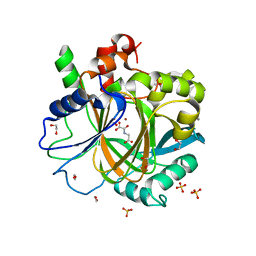 BU of 5phd by Molmil