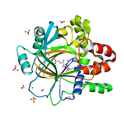 BU of 5pib by Molmil