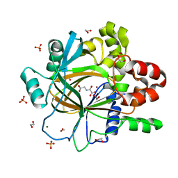 BU of 5pkd by Molmil