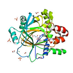 BU of 5pkg by Molmil